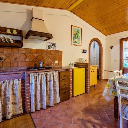 Agriturismo Il Feudo Guest House Grosseto Ngoại thất bức ảnh
