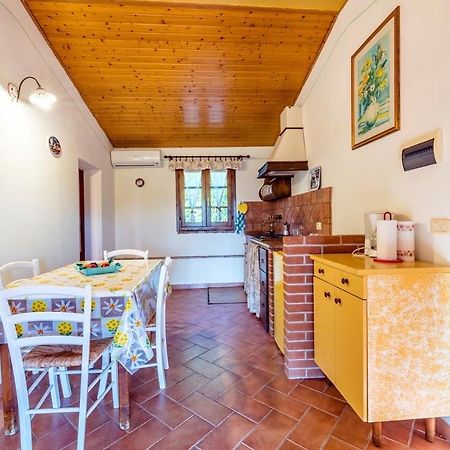 Agriturismo Il Feudo Guest House Grosseto Ngoại thất bức ảnh