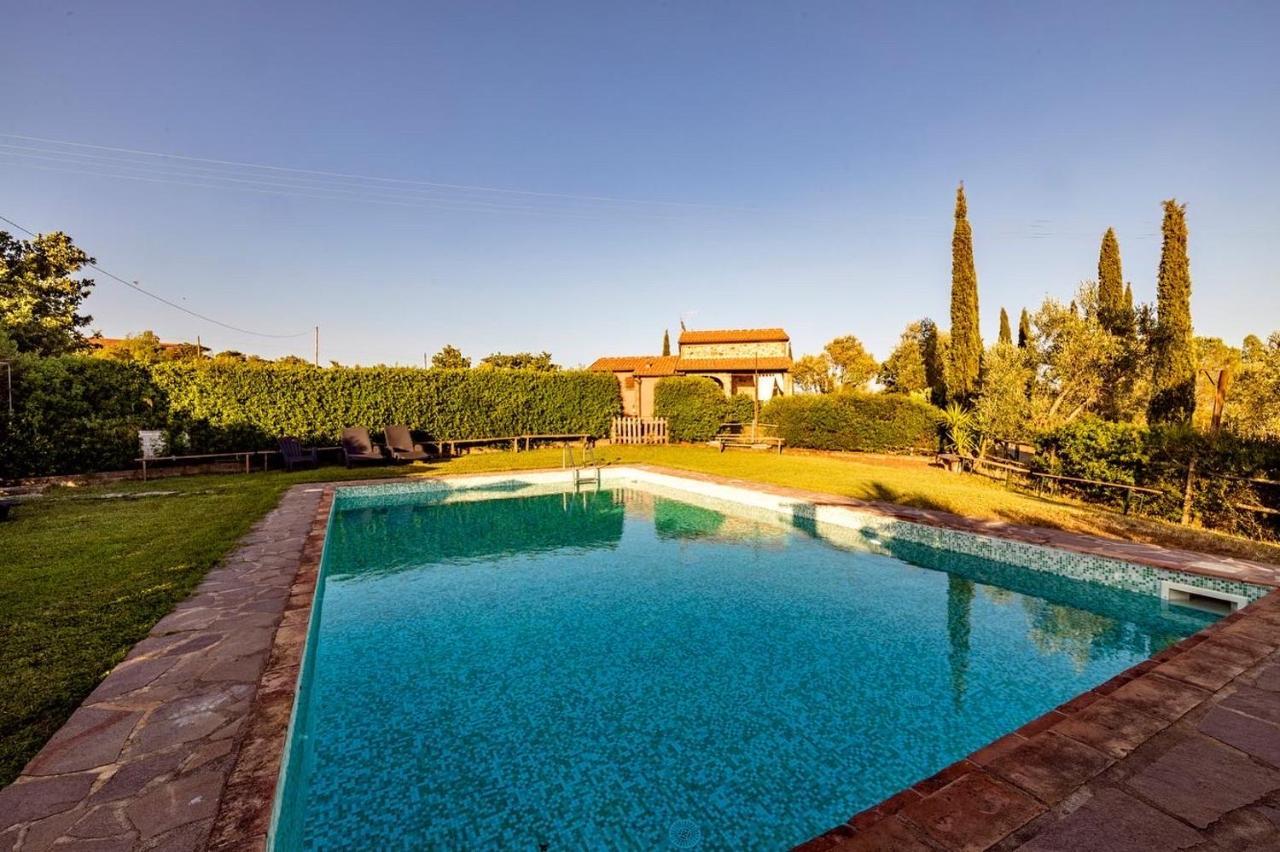 Agriturismo Il Feudo Guest House Grosseto Ngoại thất bức ảnh