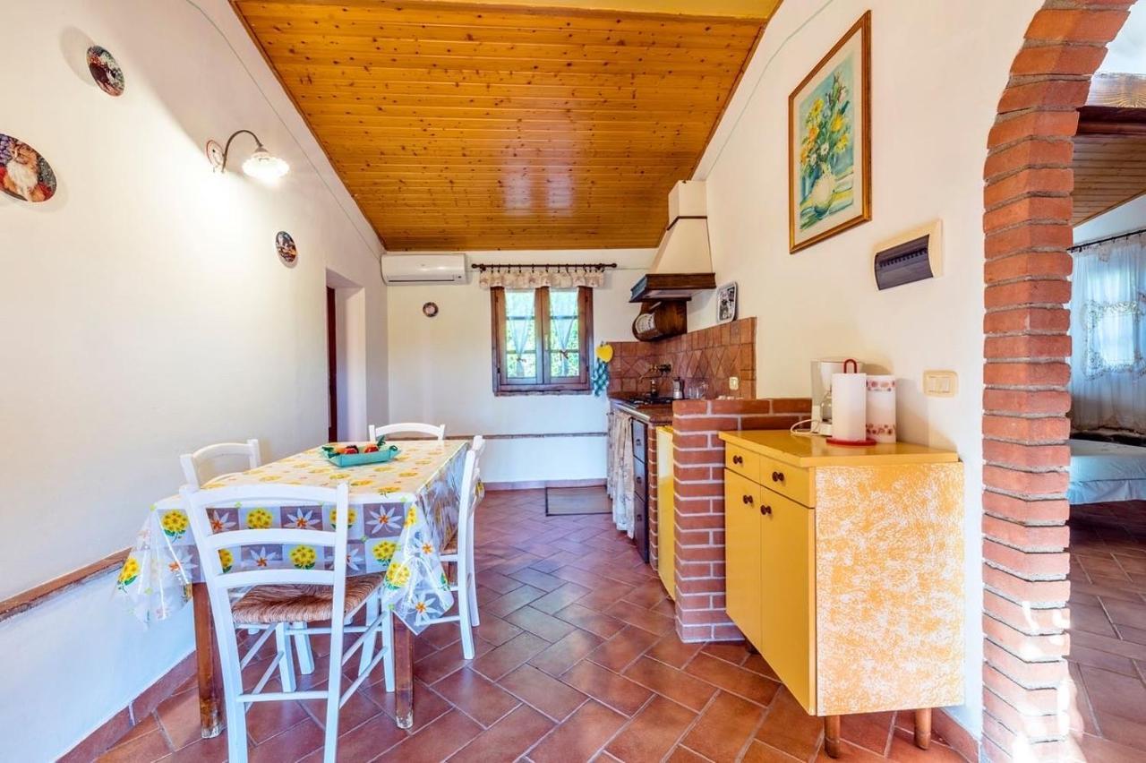 Agriturismo Il Feudo Guest House Grosseto Ngoại thất bức ảnh