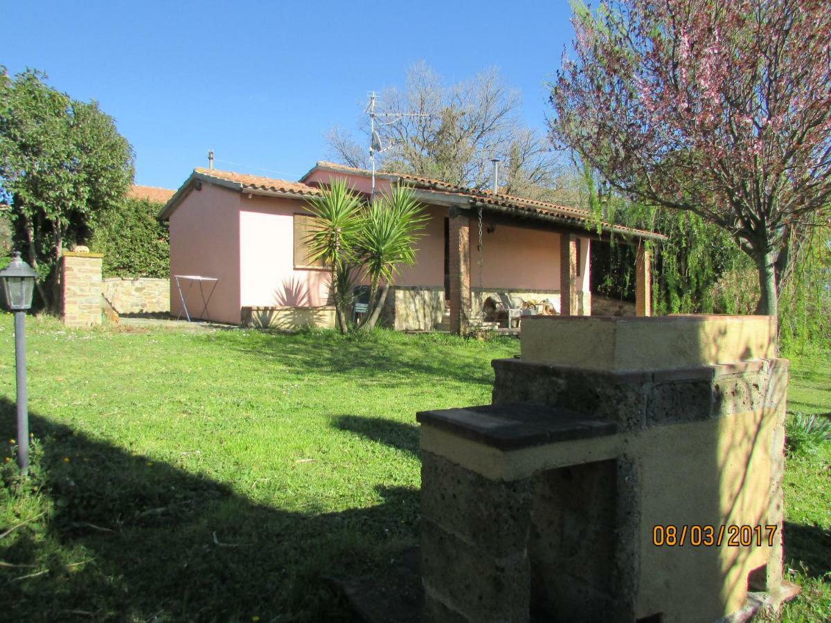 Agriturismo Il Feudo Guest House Grosseto Ngoại thất bức ảnh