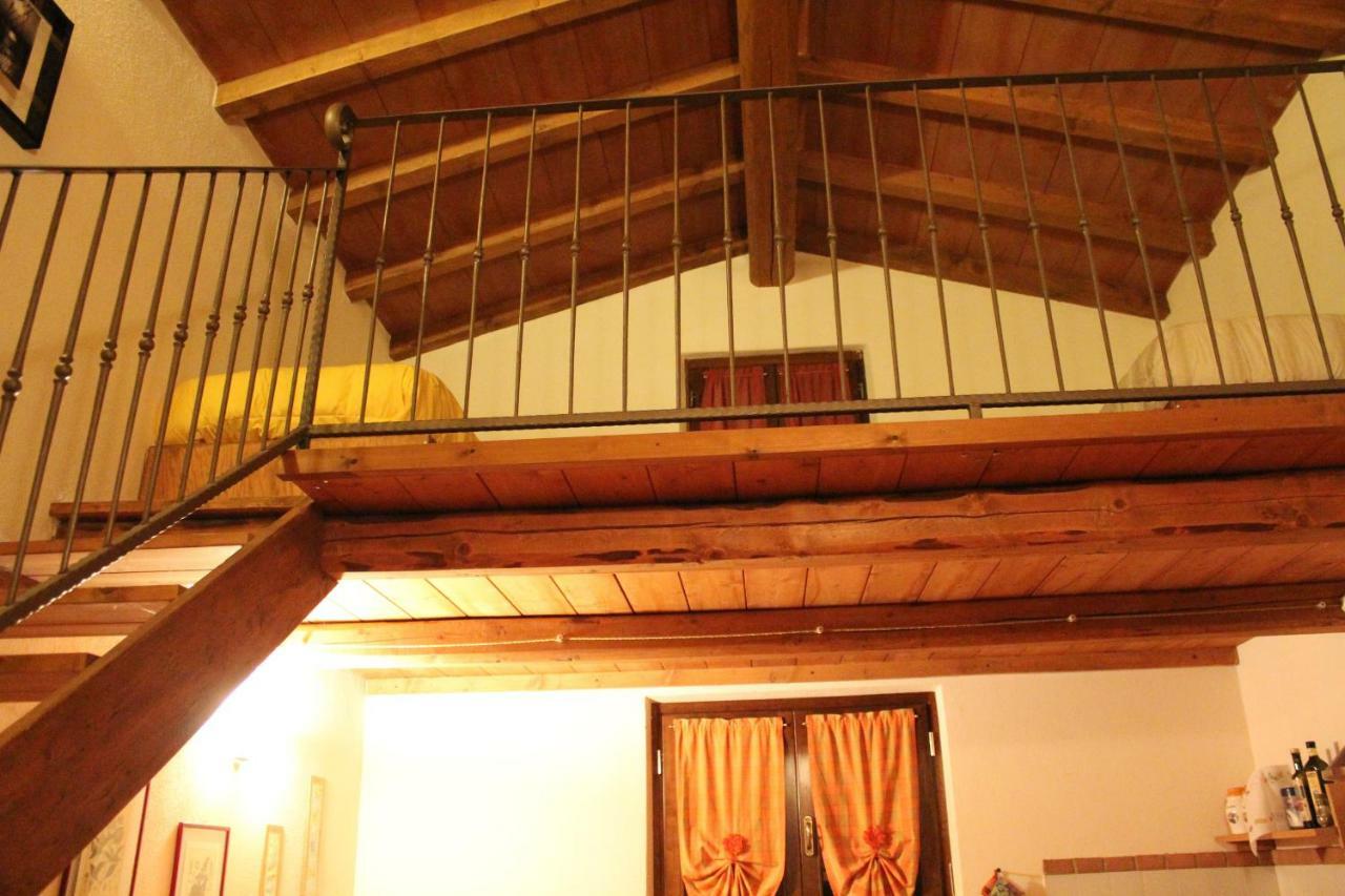 Agriturismo Il Feudo Guest House Grosseto Ngoại thất bức ảnh